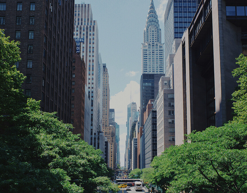 CAT-kit goes to New York